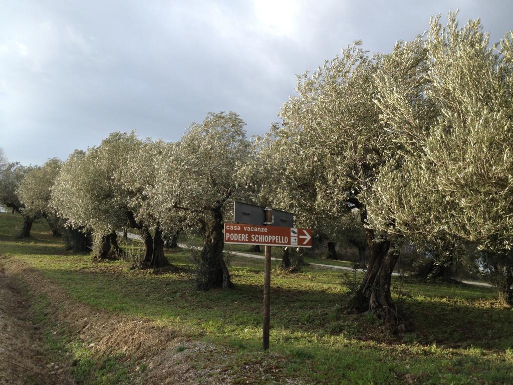 Cibottola Podere Schioppello Casale Con Appartamenti Privati الغرفة الصورة