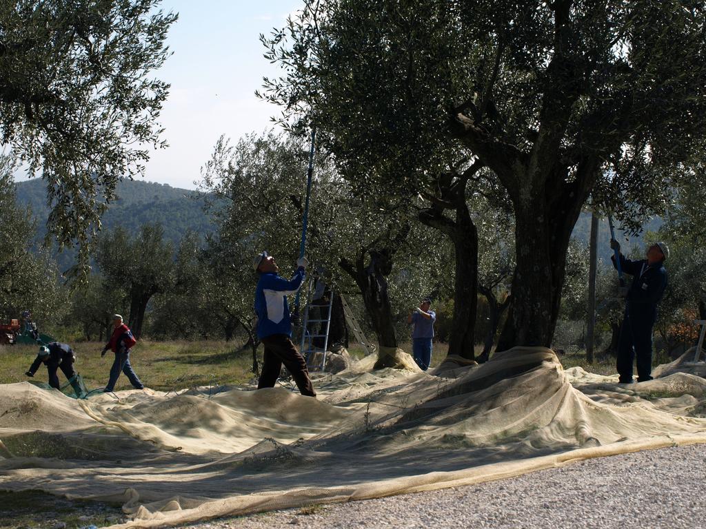 Cibottola Podere Schioppello Casale Con Appartamenti Privati المظهر الخارجي الصورة